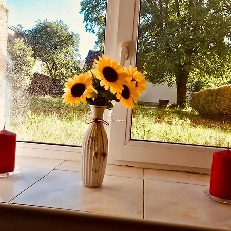 Appartement Diac Center