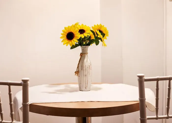 Apartment Diac Center